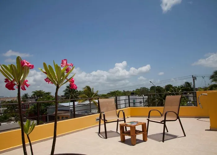 Beautiful Private For 16 Pax With Garden, Bbq And Pool, * Playa del Carmen